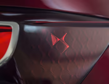 DS Wild Rubis Concept '04.2013