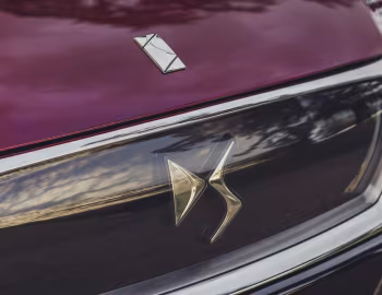 DS Wild Rubis Concept '04.2013