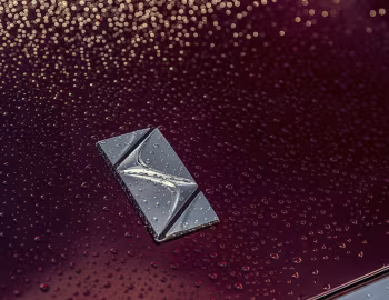 DS Wild Rubis Concept '04.2013