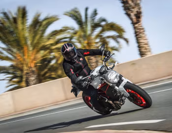Ducati Monster 797 '2017–pr.