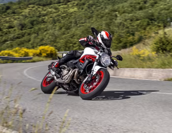 Ducati Monster 821 '2014–17