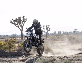 Ducati Scrambler Desert Sled '2017–н.в.