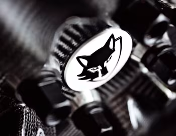 E-Wolf e-1 '2009–04.2016
