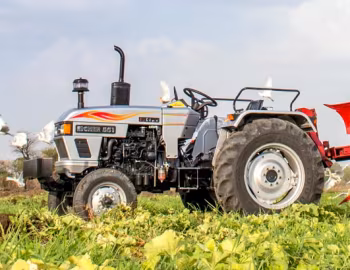 Eicher 551 '2016–н.в.