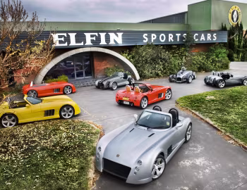 Elfin