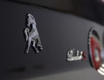 Equus Throwback '2018