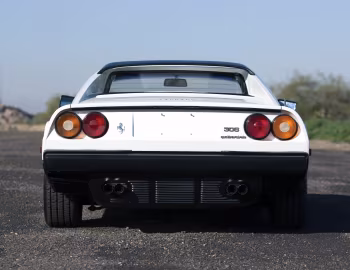 Ferrari 308 GTS Quattrovalvole with option "Boxer Colour Scheme" [North America] '1982–85