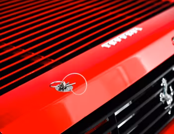 Ferrari 348 GT Competizione LM Stradale (#96435) '1993