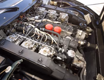 Bajo el capó Ferrari 365 GTC/4 [North America] '1971–72