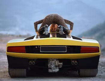 Ferrari 512 S Berlinetta Speciale (#0868) '1969