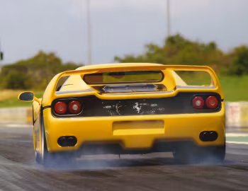 Ferrari F50 [Worldwide] '03.1995–07.1997