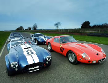 Ferrari, Shelby
