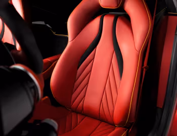 Интерьер Mansory Stallone '2018–н.в.