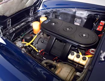Sous la capuche Ferrari 330 GTS (#10883) '1967