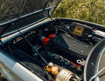 Sous la capuche Ferrari 365 GTS/4 "Daytona" (#15911) '1972