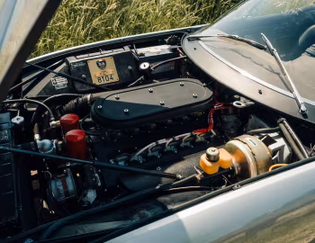 Sous la capuche Ferrari 365 GTS/4 "Daytona" (#15911) '1972