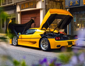 Ferrari F50 [Worldwide] '03.1995–07.1997