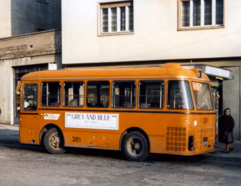 Fiat 416 Mauri [Italy] '1966