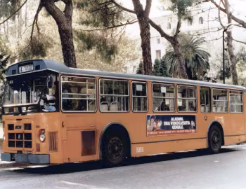 Fiat 421AL Cameri [Italy] '1976–83