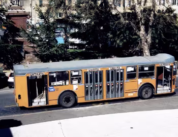Fiat 421AL Cameri [Italy] '1976–83