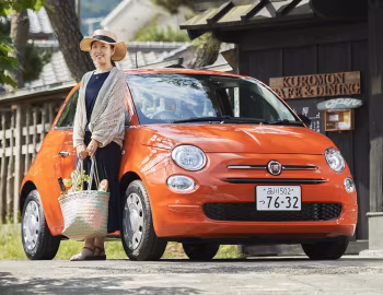 Fiat 500 Cult [Japan] (312) '2021–24
