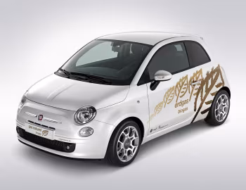 Fiat 500 Natural Power Prototype (312) '03.2010