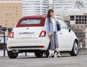 Fiat 500C Pop [Japan] (312) '2016–21
