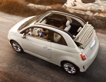 2018–19 Fiat 500c [North America] (FF) '2018–19