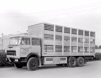 Fiat 684 N '1970–72