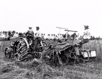 Fiat 702 '1918–24