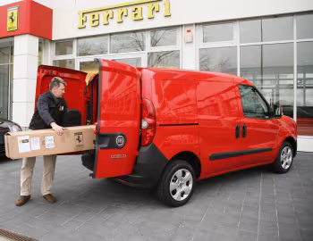 Fiat Doblò Cargo (263) '2010–15