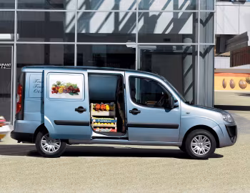 Fiat Doblò Cargo Maxi (223) '2005–09