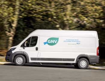 Fiat Ducato Maxi Van Natural Power L3H2 (290) '2014–21