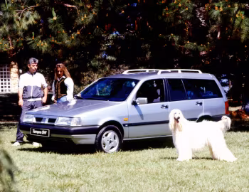 Fiat Tempra S.W. [Brazil] (159) '1994–96