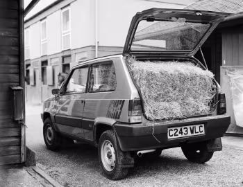 Fiat Panda 4×4 [UK-spec] (153) '1986–91
