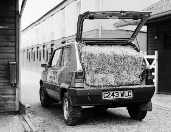 Fiat Panda 4×4 [UK-spec] (153) '1986–91