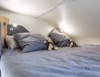 Interior 2019–20 McLouis Glamys 326G '2018–20