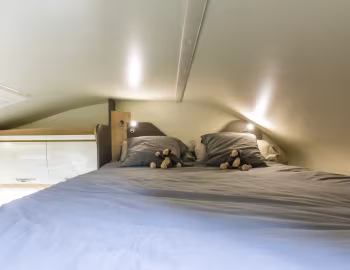Intérieur 2019–20 McLouis Glamys 326G '2018–20