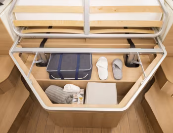 Interior 2019–21 McLouis Mc4 379G '2018–21