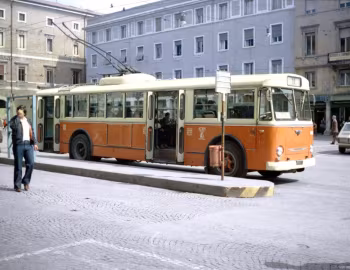 Fiat 2411 Menarini [Italy] '1964