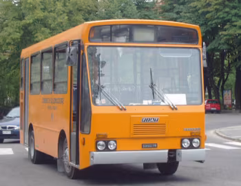 Fiat 316.8.13 Menarini C13 [Italy] '1981