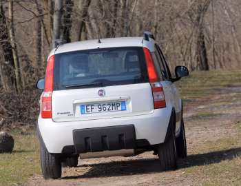 Fiat Panda 4×4 Climbing (169) '2009–12