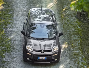 Fiat Panda 4×4 (319) '2017–22