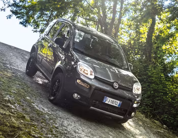 Fiat Panda 4×4 (319) '2017–22