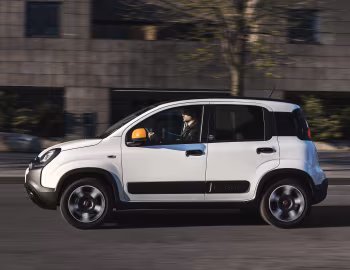 Fiat Panda connected by Wind (319) '2019–20