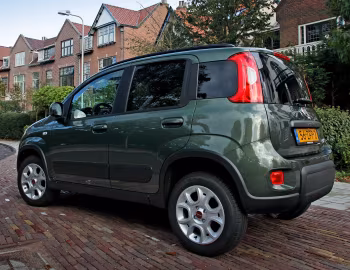 Fiat Panda Trekking Natural Power (319) '2012–16