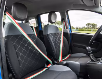 Interior Fiat Pandazzurri [Italy] (319) '2016–17