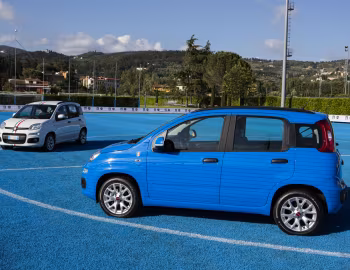 Fiat Pandazzurri [Italy] (319) '2016–17
