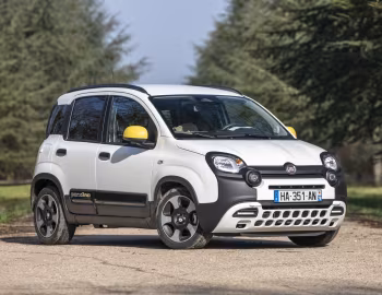 Fiat Pandina (319) '2024–pr.