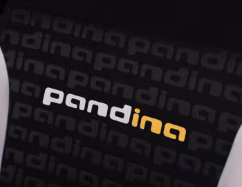 Fiat Pandina (319) '2024–pr.